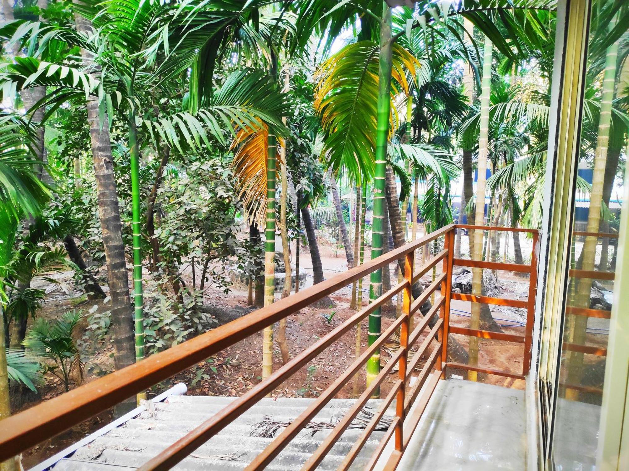 Ashish Baug Cottage 알리바그 객실 사진