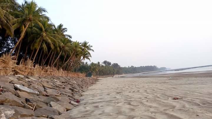 Ashish Baug Cottage 알리바그 외부 사진